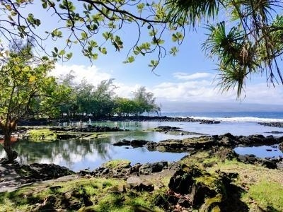 今回は母との旅行です。一応親孝行旅行のつもり。<br /><br />貯まったJALマイルで行けるところ、どこがいい?と聞いてみると40年ぶりにハワイに行きたいとのこと。<br />私が行ってみたかったハワイ島もくっつけて6泊8日と私の中ではかなり長い旅行をしてきました。<br /><br />予算はトータルで25万円ほど<br />二人とも贅沢に楽しさを覚えないタイプなので、身の丈に合ったちょっとだけ節約旅になりました。<br /><br />写真はOPPO Reno Aで撮影。<br />4トラにアップすると画質がめちゃくちゃ落ちる謎…