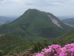 どこかにマイルで　ミヤマキリシマ　と　黒川温泉　と　臼杵大仏