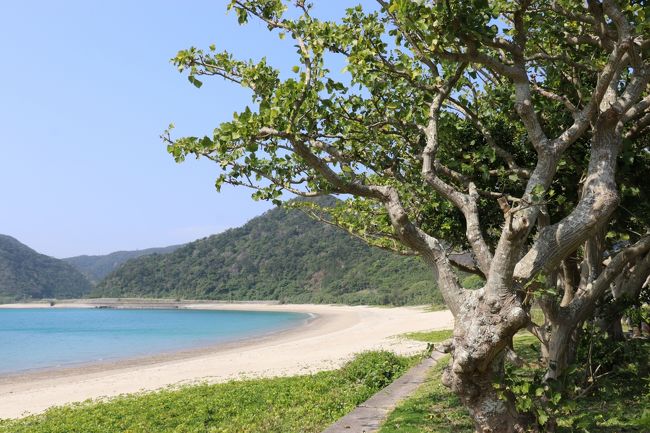 奄美大島の旅（３）～３日目　加計呂麻島～