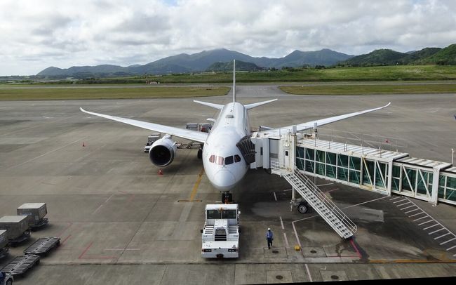 修行6回目です。この時期もあり色々考えましたが、公共交通機関は飛行機のみであること、閉鎖的な空間にはまず行かないなと思い、今回は搭乗することに決めました。<br />GWの中国はちょっと行けないですね…。去年の夏に予約した特典でしたが、残念です。しかも提携便が1日1便だったのに運休になり翌日に振替えられていました。更にビザなし入国が出来なくなったと。そんなこともあり、こちらは流石に諦めました。<br />まだ日程に余裕もあるのと、ANAさんHP特別のお知らせで「今は混雑、3月下旬をめどにお問い合わせください」とのことから、4月になったらキャンセルしようと思っています。3000マイル没収でしょうが仕方ない(*´Д｀)<br /><br />初めての石垣島はスーパーバリューセールで購入。PPは少ない（50％）ですが、滞在３時間でも行けるなら…！と購入。<br />そんなトンボ帰り旅程でしたが、昨今の状況もあり、３時間後の便に振替が可能だと気付いたのは出発2日前。急遽振替し出かけることにしました。<br /><br />2020年3月8日(日)<br />leg21 ANA 89/羽田(06:10)-石垣(09:25)プレミアム席（アップグレード）<br />leg22 ANA 92/石垣(15:45→16:00)-羽田(18:20→18:35)普通席<br /><br />航空券：HND-ISG 24,190円　マイル:1530　 PP:2448（単価9.88）<br />　　　　ISG-HND 10,190円　マイル:765　　PP:1224（単価8.33）<br /><br />1/1からの累計　　金額330,780円　マイル23195　PP38328<br /><br />関連旅行記<br />SFC修行6-2（石垣島：日帰り旅行編）<br />https://4travel.jp/travelogue/11608383