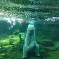 仙台・松島への旅③　八木山動物園でリフレッシュ