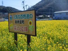 蒼海と菜の花とジオサイト、ハプニングだらけ！の2日目(2020早春・南伊豆の旅③）