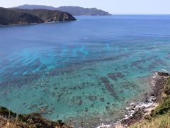 奄美大島の旅（４）～４日目　ホノホシ海岸、マングローブパーク、宮古崎、高千穂神社～