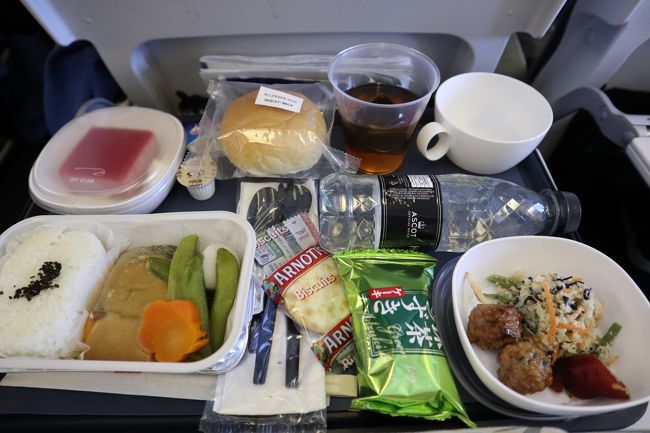 飛行機は、ブリティッシュエアウェイズ(エコノミークラス)を利用しました。<br /><br />BAはエンターテインメントがあまり充実していないと聞いていましたが、日本アカデミー賞の3部門で最優秀賞を受賞した『新聞記者』や『アナ雪2』もあり、十分楽しめましたよ~!<br /><br />機内食は、まず離陸直後にプレッツェルとドリンクが、そのあとにこの写真のご飯が出てきました!<br />サーモンかパスタ?だか選べて、私はサーモンにしました。<br />そして、着陸1、2時間前くらいに最後のご飯が出てきました。(飛行機酔いの中、ポテトサラダが出てきてこれはあまり食べられなかったです、、、)<br />全体的に少し味は濃いめに感じましたが、思っていたより美味しかったです!<br />ドリンクで紅茶が出てくるのも嬉しいポイントでした!