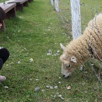 ４歳娘と那須一泊二日旅