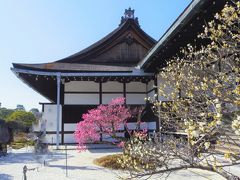2020年2月、三連休の京都６：京都御所
