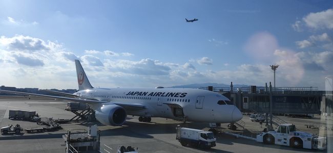 昨年に引き続き2020年1月をダブルFOPキャンペーンの1ヶ月に選んで毎週沖縄に出掛けてしまいました。<br />個別の旅行記は今イチかなと思いますので、スナップ写真集的に行ったり来たり道中旅行記です。<br />対象国内線フライトはこんな感じでた。<br /><br /> 日付 区間 便 クラス FOP イベント<br />ーーーーーーーーーーーーーーーーーーーーーーーーーーーーーーーー<br />①2020/01/02(木) 伊丹→羽田 JL120 Y 1,520 帰省戻り<br />②2020/01/03(金) 羽田→那覇 JL915 F 6,304 純粋に修行(笑)・・・<br />③2020/01/03(金) 那覇→羽田 JL918 J 4,728 ↓<br /> (間にバンコク便あり)<br />④2020/01/06(月) 羽田→那覇 JL907 J 4,728 ↓<br />⑤2020/01/07(火) 那覇→羽田 JL900 J 4,728 ↓<br />⑥2020/01/11(土) 羽田→那覇 JL913 Y 4,336 宮古島で勝手に新年会<br />⑦2020/01/11(土) 那覇→宮古 JTA565 Y 532 ↓<br />⑧2020/01/12(日) 宮古→那覇 JTA558 Y 532 那覇で新年会<br />⑨2020/01/13(月) 那覇→羽田 JL904 Y 4,336 ↓<br />⑩2020/01/18(土) 羽田→那覇 JL907 J 4,728 多良間島で勝手に新年会改め初競り祝い<br />⑪2020/01/18(土) 那覇→宮古 JTA563 Y 532 ↓<br />⑫2020/01/18(土) 宮古→多良間 RAC897 Y 556↓<br />⑬2020/01/20(月) 多良間→宮古 RAC892 Y 556↓<br />⑭2020/01/20(月) 宮古→那覇 JTA558 Y 532 ↓<br />⑮2020/01/20(月) 那覇→羽田 JL914 F 6,304 ↓<br />⑯2020/01/25(土) 羽田→那覇 JL919 Y 3,352 那覇で勝手に2回目新年会<br />⑰2020/01/26(日) 那覇→羽田 JL902 J 3,344 ↓<br /><br /> FOP合計 51,658