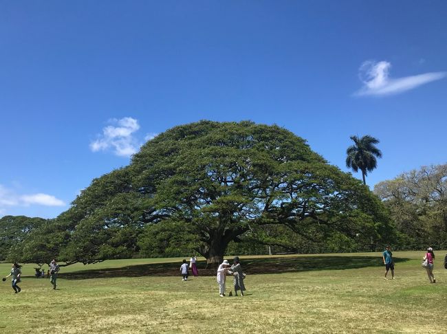 HAWAII３日目<br /><br />学生時代から長い長いお付き合いの元気なアラフィフ３人組。<br />３人揃って３年連続リゾートハワイ！！<br />快く送り出してくれるファミリーの皆さんに感謝し　<br />大いに満喫して来ました(*^-^*)<br /><br />初のリッツカールトン・レジデンス　ワイキキ<br />航空券はJALマイルでうきうきビジネス利用です。<br />その分、ホテルは贅沢してます。<br /><br />※ついつい先延ばししていた旅行記作成<br />　大変遅くなりまして(^^;)情報がかわっているかも・・？<br />　今年は行けるのかしら・・・行きたいなぁ～