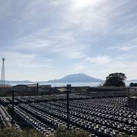 コロナにマケルナ！弾丸　鹿児島で気分転換の巻