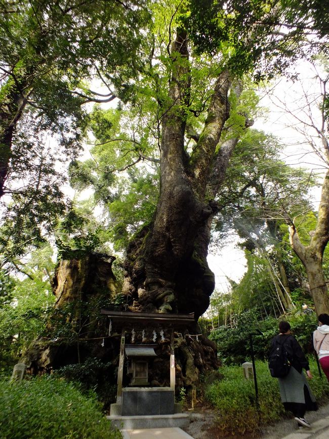 2020年伊豆の旅③