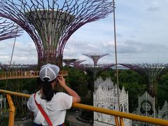 トランジット　シンガポール　10時間弾丸旅　