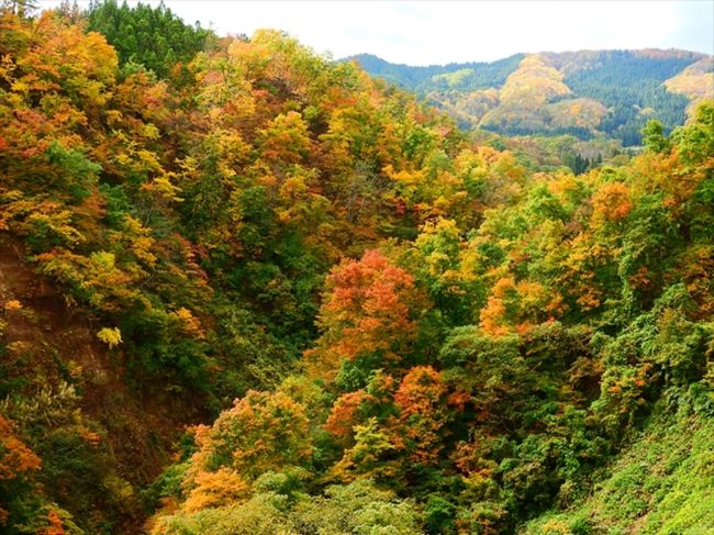 秋の紅葉を楽しみに日帰りで長井市にある長井ダムへ。途中で湯殿山神社、大沼の浮島、長井白ツツジ公園に立ち寄りました。お天気は余り良くありませんでしたが、紅葉はどこも見頃で、楽しい一日になりました。