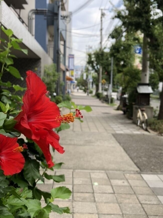 2019年関西ツアー第１弾　神戸・新大阪