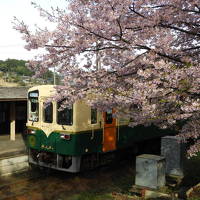 ２０２０年３月 茨城(土浦・水戸・ひたちなか)