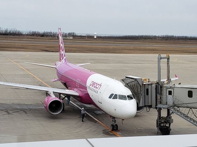 フォートラのブログでのエアー旅行を楽しんでいると、自分と同じポイントで旅行してる人とか、真逆の人がいて面白い♪<br />そんな中で、今話題のダイヤモンドプリンセスつながりで知り合ったすいかさん!<br />ぼーっとしてる私とは違った視点と観察力でダイプリのいいとこ悪いとこをばしっと指摘してくれるから読んでて楽しいの♪<br />何よりも、趣味や性格いろんなところは違っても根っこの部分は同じっていうか、同じ星の人って気がしてます(笑)<br /><br />そんな同じ星人←勝手に思ってる!すいかさんが新潟にやって来た☆<br />日本酒好きとか、知り合いでもいないとなかなか新潟は旅先に選ばないよね?<br /><br /><br /><br /><br />