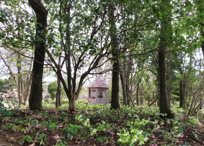 Japan　こびとの小屋からはじまる楽しい旅　昭和記念公園と素敵なカフェテラス             Awesome Apple Pie