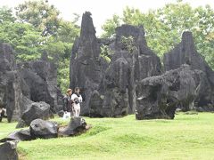 20年ぶりにインドネシア（５）セラウイッシュ、マロス