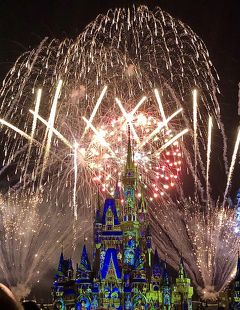 2019クリスマスＷＤＷ旅行☆８日目③☆ＭＫ；Happily Ever After