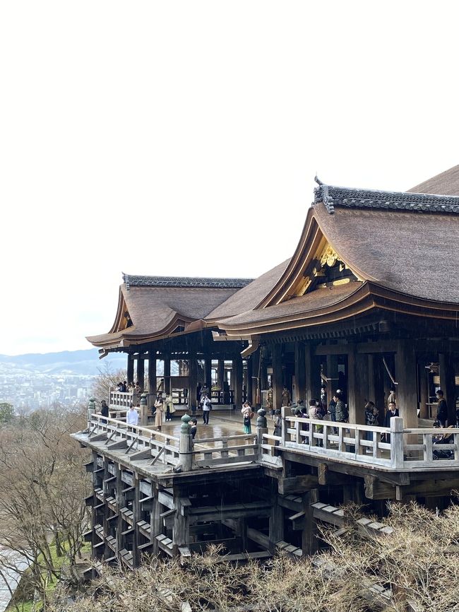 清水寺、超～久しぶりに行ってみた(^O^)<br />観光客はいるけど、空いてる<br />人が通路いっぱいで歩くのも、大変だったけど(@_@)<br />お店もゆっくりと見れるし、呼び込みもしてる