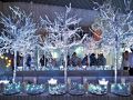 新潟市の旅行記