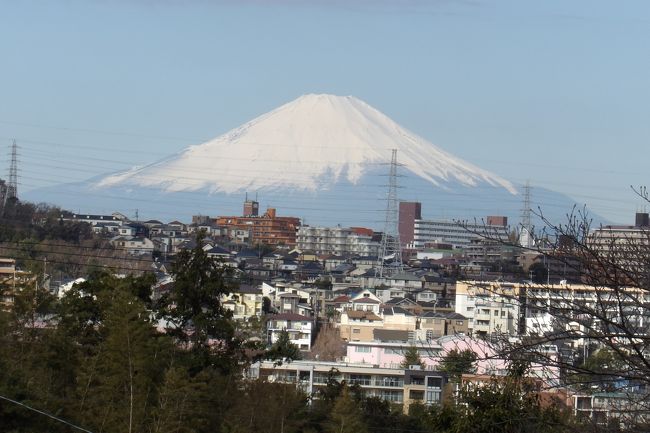　今日は朝から雲の間から日が差す天気で空には雲が多い。こんな天気でも団地の階段からは綺麗な富士山が見える。しかし、この場所では電柱や電線が邪魔しているので、少し離れた富士山のビュースポットに向かった。<br />　倉田小のある八幡谷からは鉄塔越しではあるが富士山が望める。富士山のビュースポットである。昨日（https://4travel.jp/travelogue/11608438）とは違って今日の空は一面に雲が漂っているが、どうしたことか西側には雲がない。昨日のように快晴であっても西側には多少の雲があったり、今日のように一面に雲が広がっていても西側だけが雲がなかったりで、富士山を望むには空模様も中々難しいものだ。<br />（表紙写真は今日の富士山）