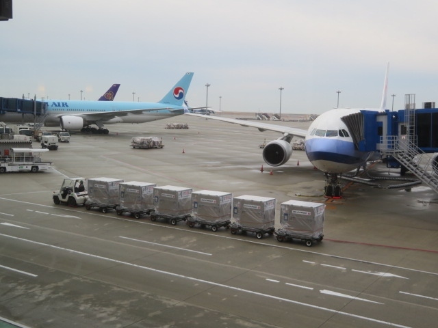 台湾・桃園空港に行く為、前日に東横イン中部国際空港２に宿泊して、翌朝、中部国際空港セントレアに行きました。<br /><br />中部国際空港セントレアには見学目的で来たことはありますが利用は今回が初めて、ＪＡＬ台湾便の朝便に乗る為、空港隣接の東横イン中部国際空港２に宿泊、東横インは２か所あり東横イン中部国際空港１が空港に近い方にありました、大型のホテルで朝食会場がとても広かったです、空港まで歩いてもすぐですがシャトルバスが運行されているので空港まで楽に行けました。<br /><br />中部国際空港セントレアは綺麗で広く利用しやすかったです、プライオリティパスで利用できるラウンジがあるので２か所（スターアライアンスラウンジとＫＡＬラウンジ）利用しました。