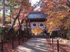 2019子連れ紅葉京都府長岡京　光明寺