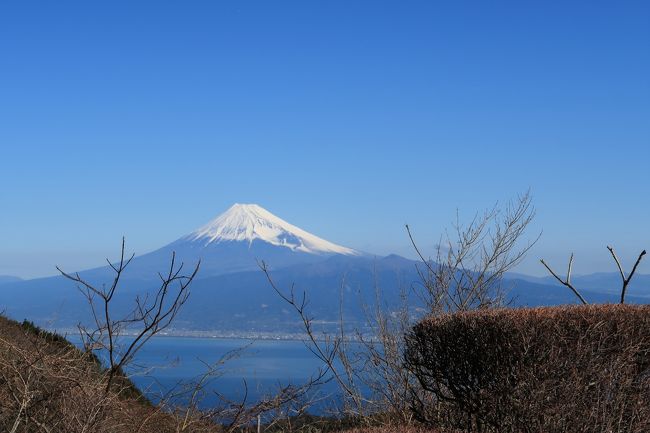 今日は富士山の周りに雲がっ少ないとネットで調べ、<br />富士山の絶好の撮影日だとみて2度目のだるま山高原展望台へ。<br />朝早くはよかったですが、後半に他へ廻り予想外に雲がわいてきて<br />がっかりしました。<br />富士山は、いつ行っても空や雲の関係で同じようだけど同じ写真が<br />撮れないので飽きないんだと思います。