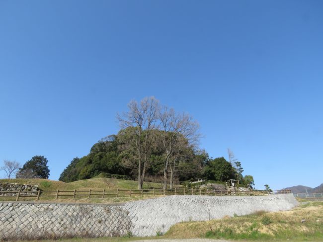 No2(太子町)<br />------------------------------------------------------------------------<br />2020.03.12 木曜日 最高気温 15℃ 最低気温 7.1℃ 大阪古市古墳群〈羽曳野市、藤井寺市、太子町)の天皇陵、陵墓探索に行きました。羽曳野市峯塚公園駐車場に止めて自転車で探索し太子町古墳群はマイカーで探索です。生れてはじめての土地でしたが古市古墳群は自転車でも回れますが太子町の天皇陵は自転車ではかなり厳しいです。<br />基本的にマイカーでの探索は難しい地域です。駐車場も無く迷惑駐車すら適当な場所が見当たらないケースが多いです。<br /><br />今回もまた人と出会う事は応神天皇陵(2人)と仲津媛皇后陵(1人)すれ違った。コロナ騒動ですが天皇陵/陵墓探索は無関係で一切物に触る事もないし、中国人や他の観光客も居ませんので安心できます。ただトイレが有りませんのでその辺だけ不便を感じます。<br /><br />No1 別途公開 https://4travel.jp/travelogue/11608727<br /><br />・ 用明天皇皇子 推古天皇皇太子 聖徳太子 磯長墓<br />・ 後嵯峨天皇皇后 きうし子分骨所<br />・ 31代 用明天皇 河内磯長陵<br />・ 36代 孝徳天皇 大阪磯長陵<br />・ 33代 推古天皇 磯長山田陵<br />・ 治定外 二子塚古墳<br />・ 30代 敏達天皇 河内磯長中尾陵<br />---------------------7カ所--------------------------------------------<br />
