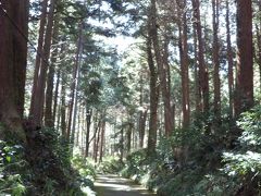 てんぐのこみち（大雄山最乗寺参道）