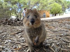 パース旅（後編）：インド洋に沈む夕陽と世界一幸せな動物とSF映画の世界