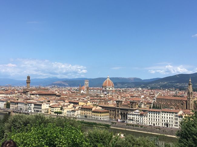 「コロナウイルスに負けるな!イタリア」の応援の気持ちを込めて、昨年7月の旅行記を記します。<br /><br />いつか行ってみたかったイタリアへ母と二人でパッケージツアーに参加しました。母の希望はカプリ島の青の洞窟とベネチア、私の希望はミラノで最後の晩餐の鑑賞とJGPの恩恵を受けるべくワンワールド航空会社利用です。これらすべての希望を満たすツアーは無かったので、日本旅行社のフィンエアーを利用する「素敵なイタリア」ツアーを現地発着にしてフィンエアーの航空券を別買い、本隊より1日前にローマ入りしてベルトラで手配したローマ発着カプリ島日帰りツアーを加えました。<br />【旅程】<br />7/11(木)成田発フィンエアーにてヘルシンキ乗り換えローマ ローマ泊<br />7/12(金)ベルトラ社扱い「みゅう」カプリ島青の洞窟1日ツアー参加 ローマ泊 (夜にツアー本隊と合流)<br />7/13(土)ローマ市内観光 コロッセオ・バチカン・最後の審判・夕食はカンツォーネディナー ローマ泊<br />7/14(日)AMバス移動 PMフィレンツェ観光 フィレンツェ泊 ←ココ<br />7/15(月)AMピサの斜塔 PMフィレンツェ市内自由散策 フィレンツェ泊 ←ココ<br />7/16(火)AMベネチアへバス移動 PMガラス工房見学・ゴンドラ乗船後自由散策 ベネチア泊<br />7/17(水)AMミラノへ移動 最後の晩餐・ドゥオーモ見学後自由散策 ミラノ泊<br />7/18(木)ツアーと一緒にフィンエアーで帰国 機内泊<br />7/19(金)AM成田着