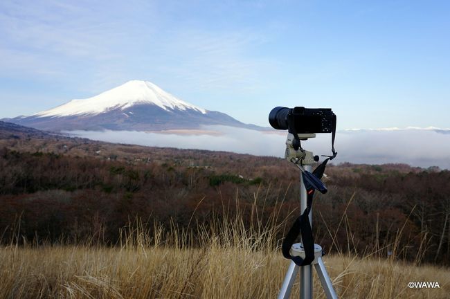 初めての富士山撮影。ネットで調べた富士山撮影ポイントを巡って、都内から下道、国道246号のみを使って三国峠、山中湖、御殿場、裾野辺りをドライブしました。(帰りは東名高速)<br /><br />03:40 246号で多摩川を渡って神奈川県へ<br />03:50 マクドナルド246鷺沼店(神奈川県川崎市宮前区有馬3丁目)<br />04:20 愛光石田駅前(神奈川県厚木市愛甲)<br />04:50 渋沢駅前(神奈川県秦野市曲松)<br />05:05 東山北駅前(神奈川県足柄上郡山北町向原)<br />05:30 富士スピードウェイ前(静岡県駿東郡小山町中日向)<br /><br />05:40 三国峠(山梨県南都留郡山中湖村)<br />※山中湖村の日の出時間(05:56)<br />06:10 パノラマ台駐車場 山梨県南都留郡山中湖村平野514<br /><br />07:20-08:40 山中湖交流プラザ きらら 山梨県南都留郡山中湖村平野<br />07:20-08:40 平野の浜 山梨県南都留郡山中湖村<br /><br />08:45-08:55 山中湖テディベアワールドミュージアム 山梨県南都留郡山中湖村平野<br />08:45-08:55 山中湖夕焼けの渚 山梨県南都留郡山中湖村平野<br /><br />09:10-09:25 道の駅 すばしり 静岡県駿東郡小山町須走338-44<br /><br />10:05-10:25 パノラマロード 静岡県裾野市須山<br />10:05-10:25 パノラマ遊花の里 静岡県裾野市須山3409<br />10:05-10:25 裾野市梅の里 静岡県裾野市須山3409<br />10:05-10:25 すその美人の湯 ヘルシーパーク裾野 静岡県裾野市須山3408<br /><br />10:35-10:50 須山浅間神社 静岡県裾野市須山722<br />10:35-10:50 須山浅間神社 駐車場 静岡県裾野市須山488-3<br /><br />11:05-11:35 裾野市立富士山資料館 静岡県裾野市須山2255-39<br /><br />11:45-12:00 十里木パーキング 静岡県裾野市須山<br />12:30-13:00 富士山樹空の森 静岡県御殿場市印野1380-15<br /><br />13:45 宝寿院・桜観音堂 神奈川県足柄上郡松田町松田庶子1035<br />14:00 大井松田IC 東名高速道路<br />14:30 東京料金所 東名高速道路<br />14:35 東京IC 東名高速道路<br />
