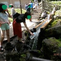 2018夏旅２日目：函館から八雲パノラマパーク～ニセコへ。豪雪うどん　3日目；京極の名水の郷公園