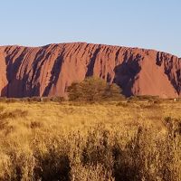 2020年オーストラリア自然探求の旅【エアーズロック編】