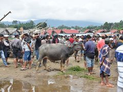 20年ぶりのインドネシア（６）タナトラジャ