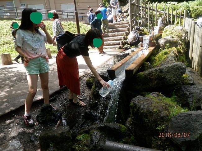 二日目；9：30ころ函館の啄木亭を出発し、八雲の噴火湾パノラマパークエリアで休憩する。倶知安に入り、ニセコへ向かう途中で車を降りて若者たちと別行動。50分位時間をかけて散歩がてら歩き、倶知安の第一会館にある豪雪うどんを食べに行く。<br />　若者たちはルスツリゾートへ行った。<br />倶知安駅発15：10、ワン・ニセコ・リゾートタワーズの送迎車でニセコアンヌプリの南西モイワ地区へ向かう。コンドミニアムで娘たちと合流し宿泊。<br />6名2部屋。夕食はイタリアンのコース料理。<br /><br />三日目の朝食はバイキング<br />　ワン・ニセコ・リゾートタワーコンドミニアムを10：15に出発して京極の名水噴出し公園で遊び、中山峠を経由して関家でおそばを食べて帰途につく。