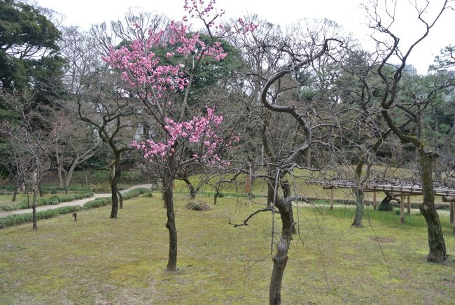 東京メトロの24時間券を使って、駒込の六義園、後楽園の小石川後楽園に行きました。<br />曇りだったけど、新型コロナウイルスの影響もあり、ちょっと自粛ムードの東京都内でした。人がいない場所にしか行けないが・・・。