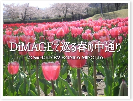 DiMAGEで巡る春の中通り