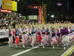 2019.8 高知・徳島　－４日目／阿波おどりミュージアム・選抜阿波おどり・阿波おどり－