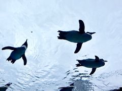 池袋サンシャイン水族館