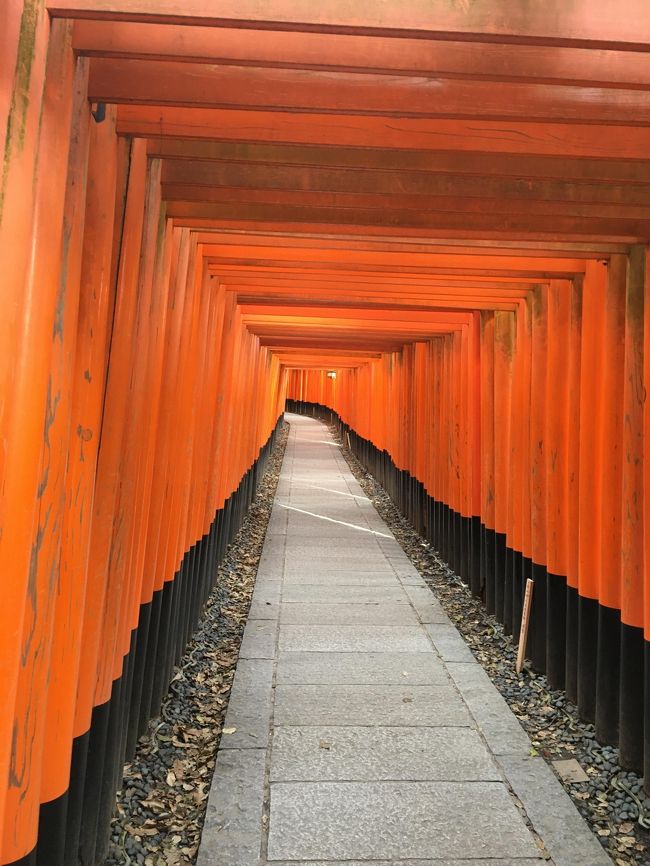行きは夜行バスで帰りは何故かセントレアから成田へ!?<br /><br />そこそこ観光客はいましたが、5~6年ぶりなので比較できませんが、<br />良かったですよ。<br /><br />3/12 東京 23:00→京都 6:45(VIP101号)<br />3/13 京都観光(主に伏見地区)<br />3/14 京都 10:30→名古屋 11:04(のぞみ220号)<br /> NGO 14:30→NRT 15:45 (NH494)