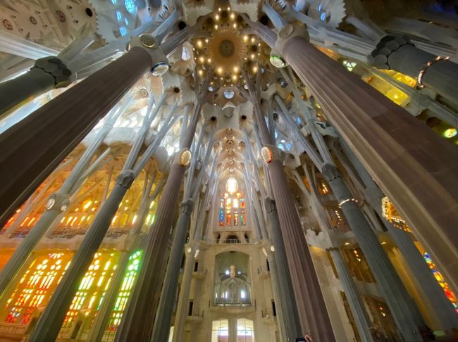 2019年12月に行ったスペインのバルセロナ、ドイツのフランクフルト7日間の旅行記です。<br /><br />1日目<br />成田空港→<br /><br />2日目<br />→イスタンブール空港→バルセロナ空港<br />カンプノウ バルセロナ観戦<br />マジカ噴水<br /><br />3日目<br />グエル公園<br />サグラダファミリア<br />カサミラ<br />カサバトリョ<br />カタルーニャ広場<br />ボケリア市場<br />コロンブスの塔<br /><br />4日目<br />カタルーニャ美術館<br />バルセロナ空港→フランクフルト空港<br />レーマー広場<br />鉄の橋<br /><br />5日目<br />クラインマルクトハレ市場<br />エッシェンハイマー塔<br />フランクフルト大聖堂<br />鉄の橋<br />シュテーデル美術館<br />ゲーテハウス<br />マインタワー<br />旧オペラ座<br />ハウプトヴァッヘ<br />レーマー広場<br /><br />6日目<br />フランクフルト空港→バルセロナ空港→イスタンブール空港→<br /><br />7日目<br />→成田空港<br /><br />この旅行記③は3日目(サグラダファミリア)です。