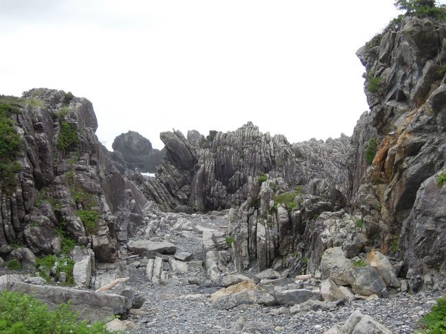 2019.8 高知・徳島　－３日目／ひろめ市場・「モネの庭」マルモッタン・室戸岬・貝の資料館モラスコむぎ・恵比須洞－