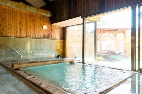 温泉かけ流しの宿 福寿草 戸倉上山田温泉 長野県 の旅行記 ブログ By まさみさん フォートラベル