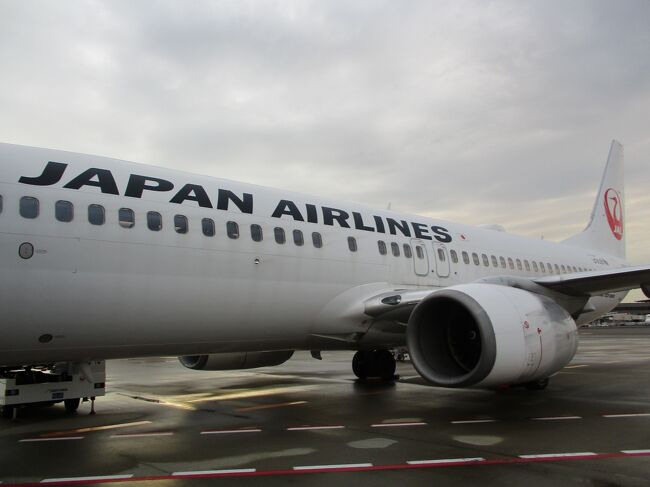 2019年 JL3005 成田(NRT)-伊丹(ITM) B737-800 クラスJ搭乗記<br /><br />以前、大阪国際空港(伊丹)から成田国際空港、アメリカのダラス・フォートワース国際空港経由でオーランド国際空港までの搭乗記を作成いたしました。<br /><br />前往路1レグ目は「2019年 JL3004 伊丹(ITM)-成田(NRT) B787-8 搭乗記」。<br />https://4travel.jp/travelogue/11548397<br /><br />2レグ目は「JL012 成田(NRT)-ダラス・フォートワース(DFW)B787-9 搭乗記」<br />https://4travel.jp/travelogue/11552993<br /><br />3レグ目は「JL7352(AA1008) ダラス・フォートワース(DFW)-オーランド(MCO) A321-200 搭乗記」<br /><br />https://4travel.jp/travelogue/11562256<br /><br /><br />復路も往路同様の3レグ分になります。<br />復路の予定搭乗時間の合計が16時間35分と長めです。<br /><br />利用航空会社は、オーランドからダラス・フォートワースまではアメリカン航空(AA)、ダラス・フォートワースから成田経由で伊丹までは日本航空(JAL)になります。<br />1レグ目:JL7297(AA1024) ダラス・フォートワース(DFW)-オーランド(MCO)※<br />※運航はアメリカン航空<br />2レグ目:JL011ダラス・フォートワース(DFW)-成田(NRT)<br />3レグ目:JL3005 成田(NRT)-伊丹(ITM)<br /><br />前々回の復路1レグ目「2019年 JL7297(AA1024)オーランド(MCO)-ダラス・フォートワース(DFW)A321-200搭乗記」<br /><br />https://4travel.jp/travelogue/11576821<br /><br />前回の2レグ目の「2019年 JL011 ダラス・フォートワース-成田(NRT) B787-9搭乗記」<br /><br />https://4travel.jp/travelogue/11609466<br /><br />オーランド国際空港(MCO)から長時間続いたフライトですが、復路3レグ目のラストは「JL3005 成田(DFW)-伊丹(ITM)」になります。<br />定刻 成田16:55出発、伊丹18:10到着。<br />所要時間は、1時間15分のフライトになります。<br />区間マイルは、280マイル。<br />搭乗機材は、B737-800(機体番号:JA314J)。<br />コンフィギュレーションは、V32。<br />搭乗クラスは、クラスJシート。