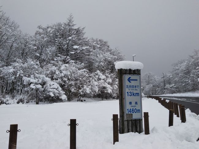 母を連れて 富士山へ雪見ドライブ。<br />雪がほとんど降らない富士山南麓。<br />雪を見るとテンションが上がる。<br />日課の散歩途中、ちらっと見えた富士山のすそ野がどうも雪模様。<br />それならば、車で行けば雪を見ることができるかも。<br />思い立ったら行動。<br />水が塚公園まで行けたらラッキーと登山道を進む。<br />毎年、冬になればスタッドレスタイヤに替えるけれど<br />出番がない年が多い。<br />今年もこれが最初で最後のチャンスかも。