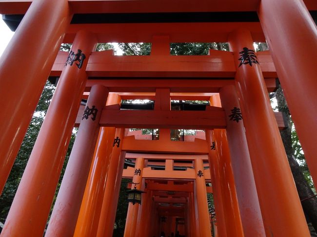2月21日から2泊3日で大阪と京都に行ってきました。<br /><br /><br />本日3日目<br />京都と言えば、伏見稲荷に清水寺とベタな京都観光です。