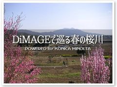 桜川の旅行記