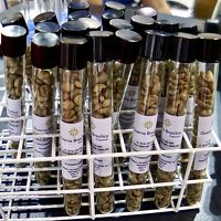 「世界最大のコーヒー展示博」を覗きに、ミナスの州都にVamos!!-3-（ベロホリゾンテ／ミナスジェライス州／ブラジル）